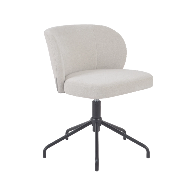 Minimalist Swivel Dining Chair